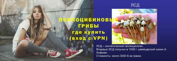 винт Алексеевка