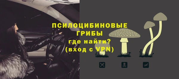 спиды Алзамай